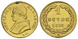 1,56 g Feingold. Papst Pius IX. (1846 - 1878)