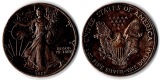 USA  1 Dollar (American Eagle) 1989 FM-Frankfurt Feingewicht: ...