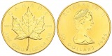 31,1 g Feingold. Maple Leaf