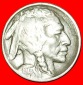 • KOPF INDIANERS: USA ★ 5 CENTS 1913 SCHWARZER DIAMANT (18...