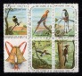 Kuba 1961/62 Block Vögel **Postfrisch Gestempelt