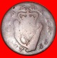 * GROSSBRITANNIEN (1766-1769): IRLAND ★ 1/2 PENNY 1766 GEORG...