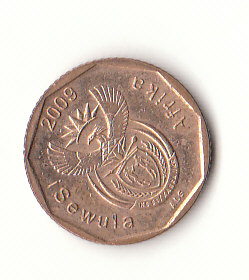  10 Cent Süd- Afrika 2009 (H144)   