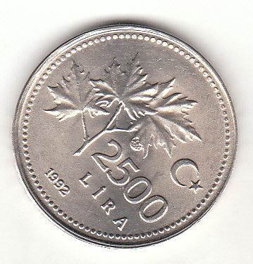  2500 Lira Türkei 1992 (H906)   