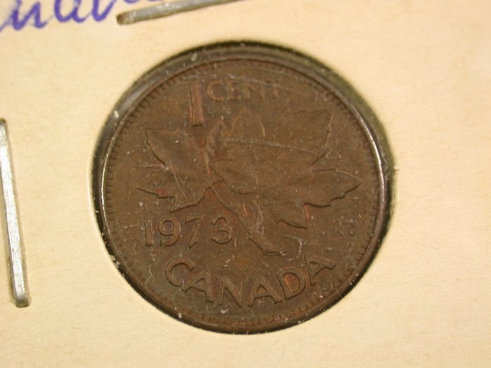  B41 Kanada 1 Cent 1973 in vz Originalbilder   