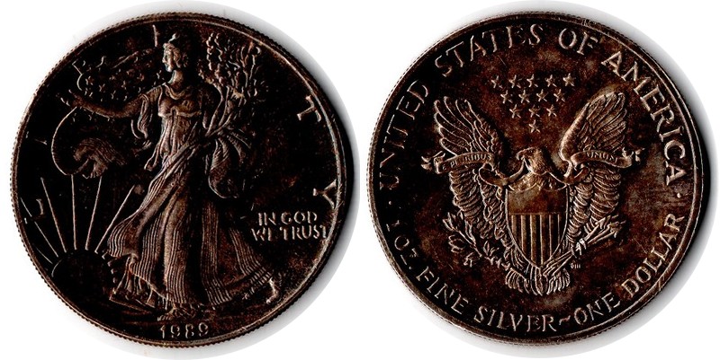  USA  1 Dollar (American Eagle) 1989 FM-Frankfurt Feingewicht: 31,1g Silber   sehr schön   
