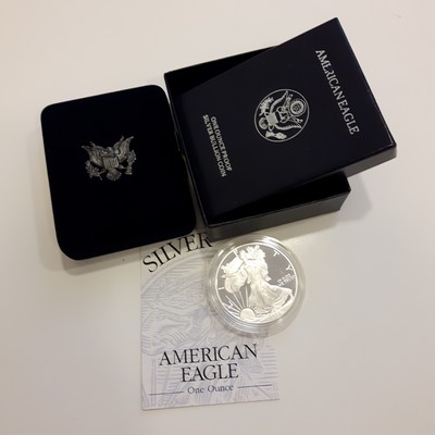  USA  1 Dollar (American Eagle)  1996 FM-Frankfurt Feingewicht: 31,1g Silber  PP   