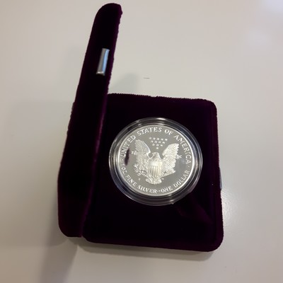  USA  1 Dollar (American Eagle)  1990 FM-Frankfurt Feingewicht: 31,1g Silber  PP   