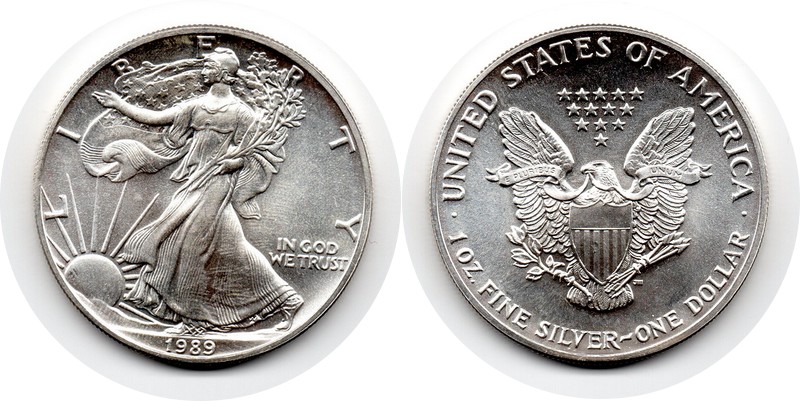 USA  1 Dollar (American Eagle) 1989 FM-Frankfurt Feingewicht: 31,1g Silber   vorzüglich   