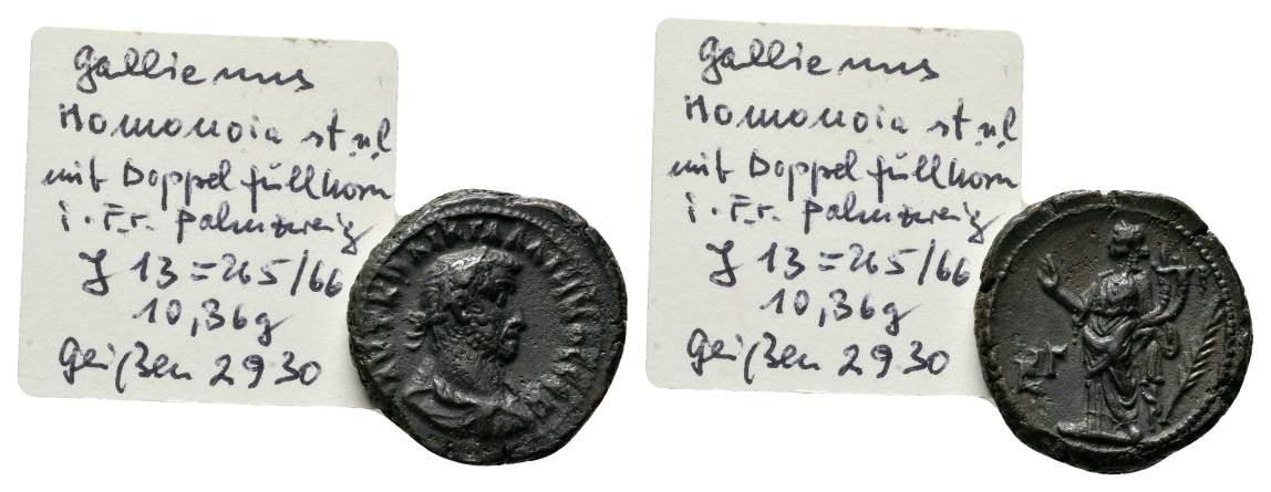  Antike; Bronzemünze 10,36 g   