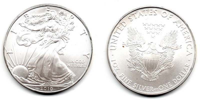  USA  1 Dollar (American Eagle) 2010  FM-Frankfurt Feingewicht: 31,1g Silber   vorzüglich   