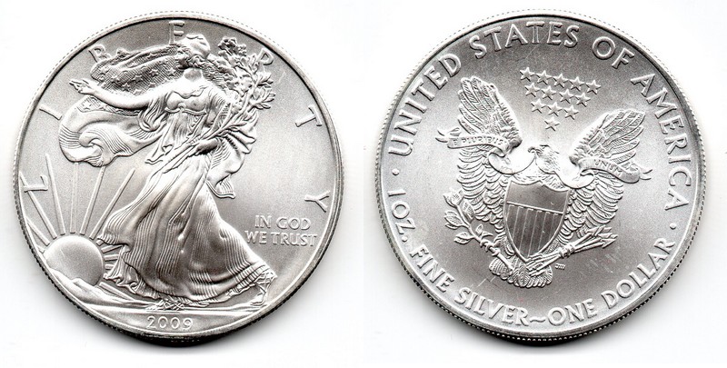  USA  1 Dollar (American Eagle) 2009  FM-Frankfurt Feingewicht: 31,1g Silber   vorzüglich   