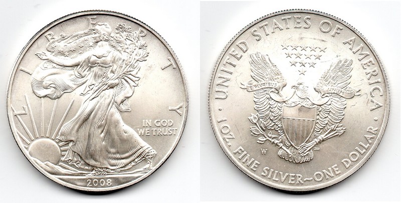  USA  1 Dollar (American Eagle) 2008  FM-Frankfurt Feingewicht: 31,1g Silber   vorzüglich   