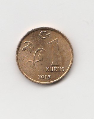  1 Kurus Türkei 2015 (K969)   