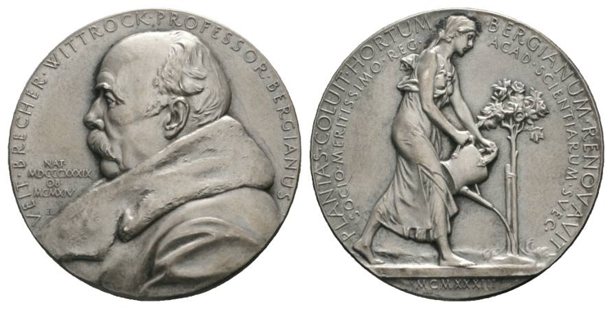  Silbermedaille 1933, Ag, Ø= 31mm, 15,01g   