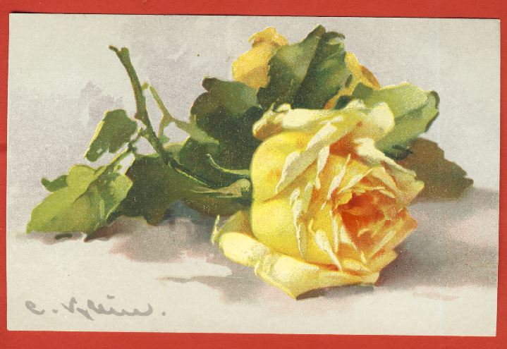  Alte Ak Rosen n.gel.Rückseite beschrieben 1918   