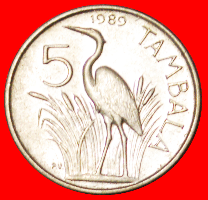  # BANDA (1898-1997): MALAWI ★ 5 TAMBALA 1989 MINT LUSTER! LOW START ★ NO RESERVE!   