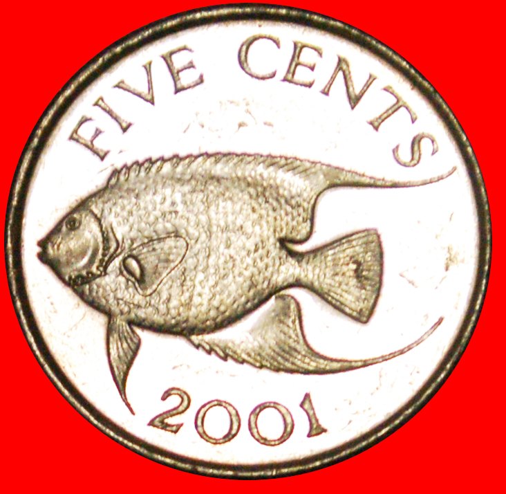  # FISH: BERMUDA ★ 5 CENTS 2001! LOW START★NO RESERVE!   