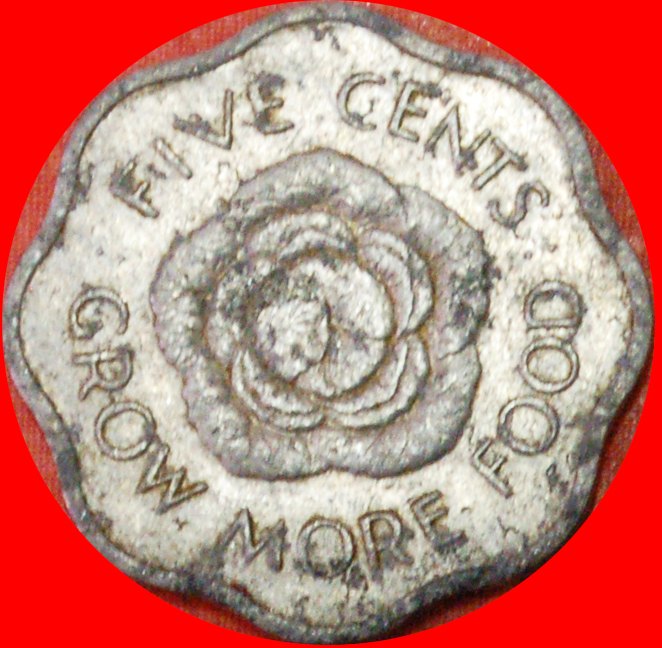  # GREAT BRITAIN: SEYCHELLES ★ 5 CENTS 1972 FAO! LOW START ★ NO RESERVE!   