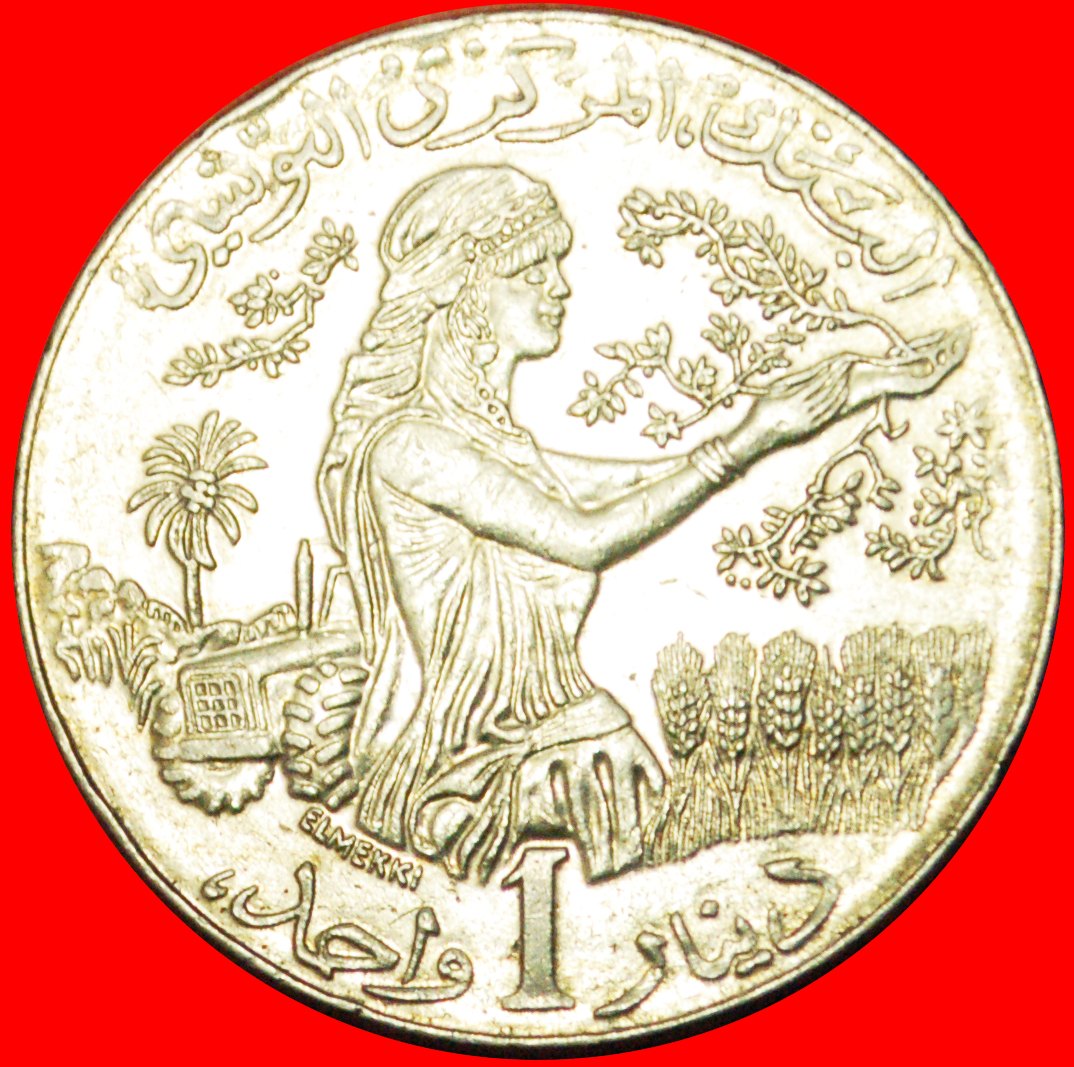  # MAP: TUNISIA ★ 1 DINAR 1990! LOW START ★ NO RESERVE!   