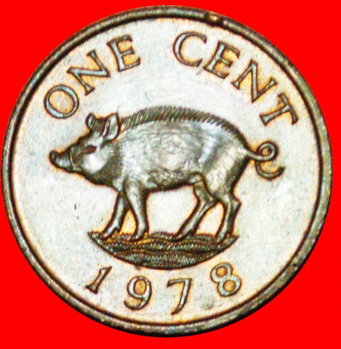  # PIG AND QUEEN (1970-1985): BERMUDA ★ 1 CENT 1978! LOW START ★ NO RESERVE!   