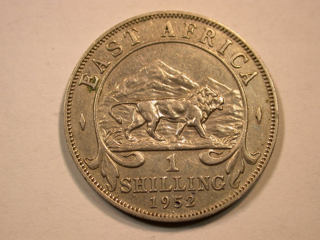  C09 British East Africa  1 Shilling 1952 in ss-vz/vz  Orginalbilder   