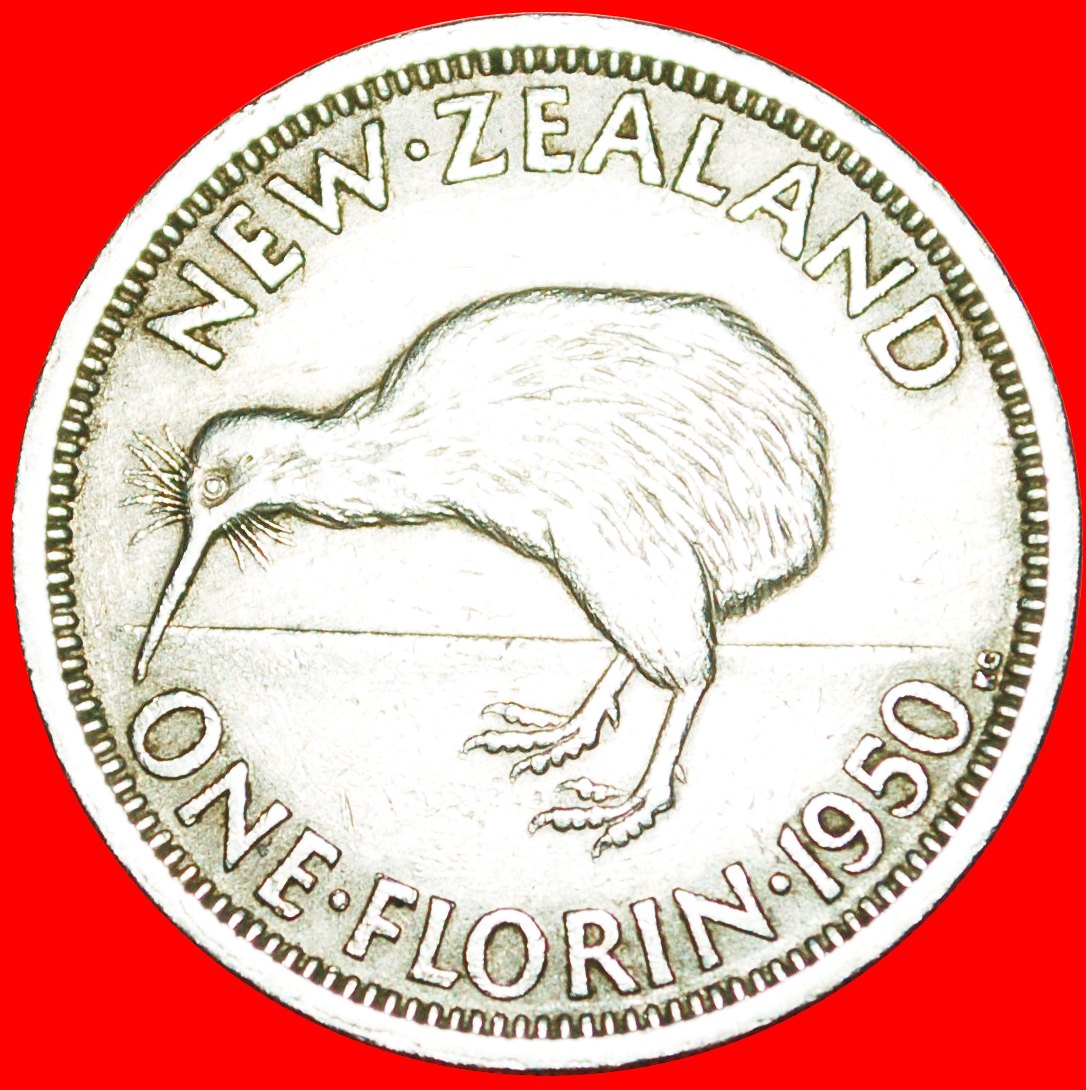  + KIWI BIRD: NEW ZEALAND ★ FLORIN 1950! LOW START ★ NO RESERVE! George VI (1937-1952)   