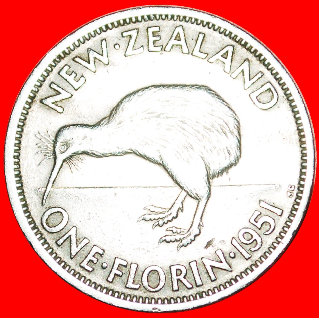  + KIWI BIRD: NEW ZEALAND ★ FLORIN 1951! LOW START ★ NO RESERVE! George VI (1937-1952)   
