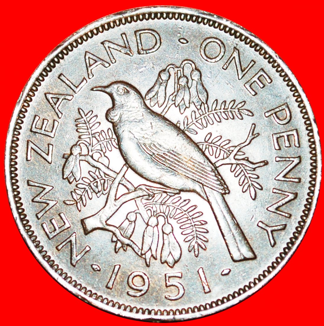 + BIRD AND FLOWERS: NEW ZEALAND ★ PENNY 1951! LOW START ★ NO RESERVE! George VI (1937-1952)   