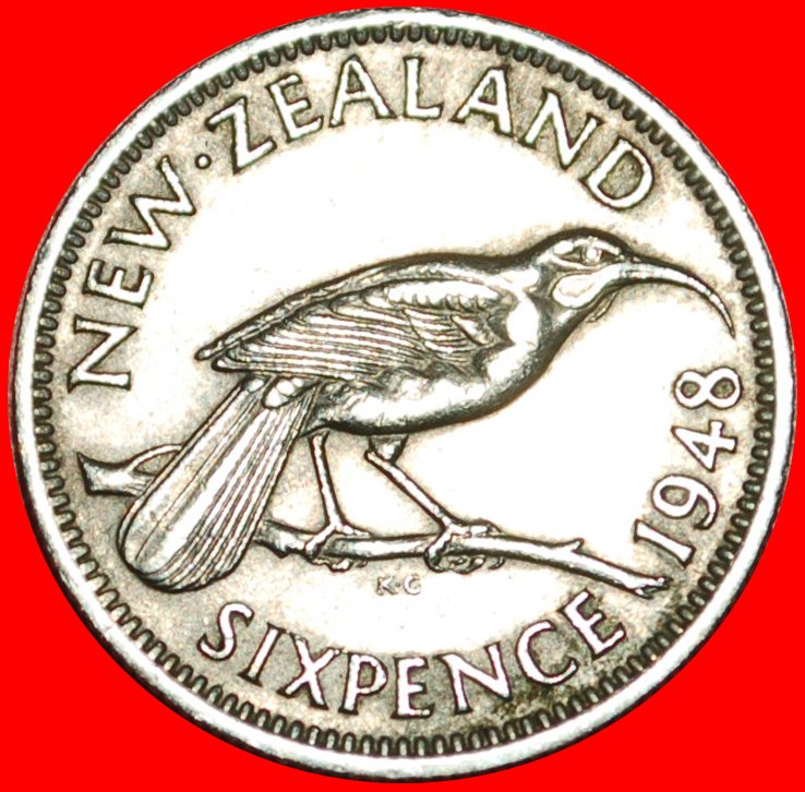  + BIRD: NEW ZEALAND ★ 6 PENCE 1948! LOW START ★ NO RESERVE! George VI (1937-1952)   