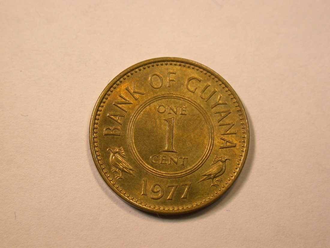  E21  Guyana 1 Cent 1977 in f.st  Originalbilder   