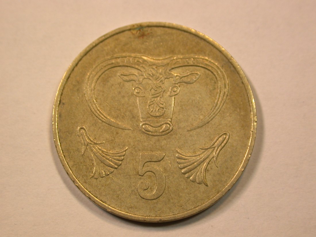  E21  Zypern  5 Cents 1983 in f.vz   Originalbilder   