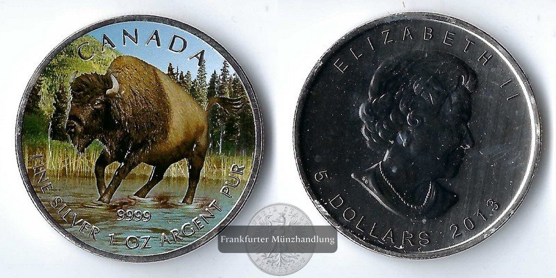  Kanada,  5 Dollar  2013  American Bison (coloured) FM-Frankfurt   Feinsilber: 31,1g   