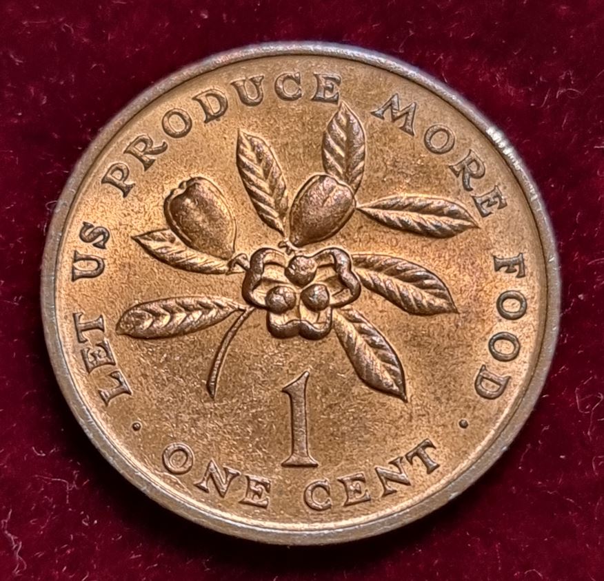  4729(11) 1 Cent (Jamaika / FAO) 1971 in UNC ....................................... von Berlin_coins   