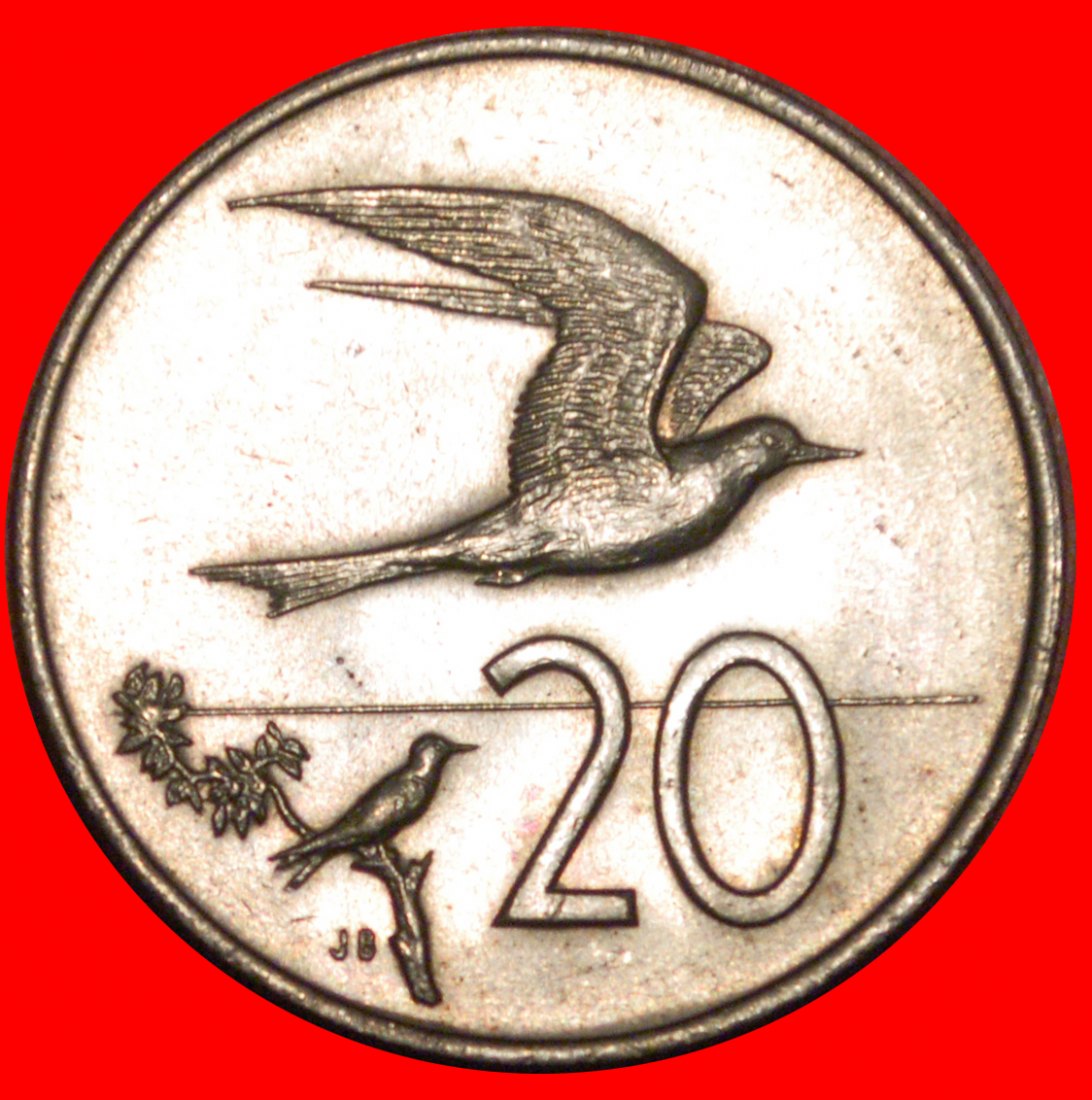  * BIRD TERN: COOK ISLANDS ★ 20 CENTS 1974! SMALL MINTAGE UNC! UNCOMMON!!! LOW START ★ NO RESERVE!   