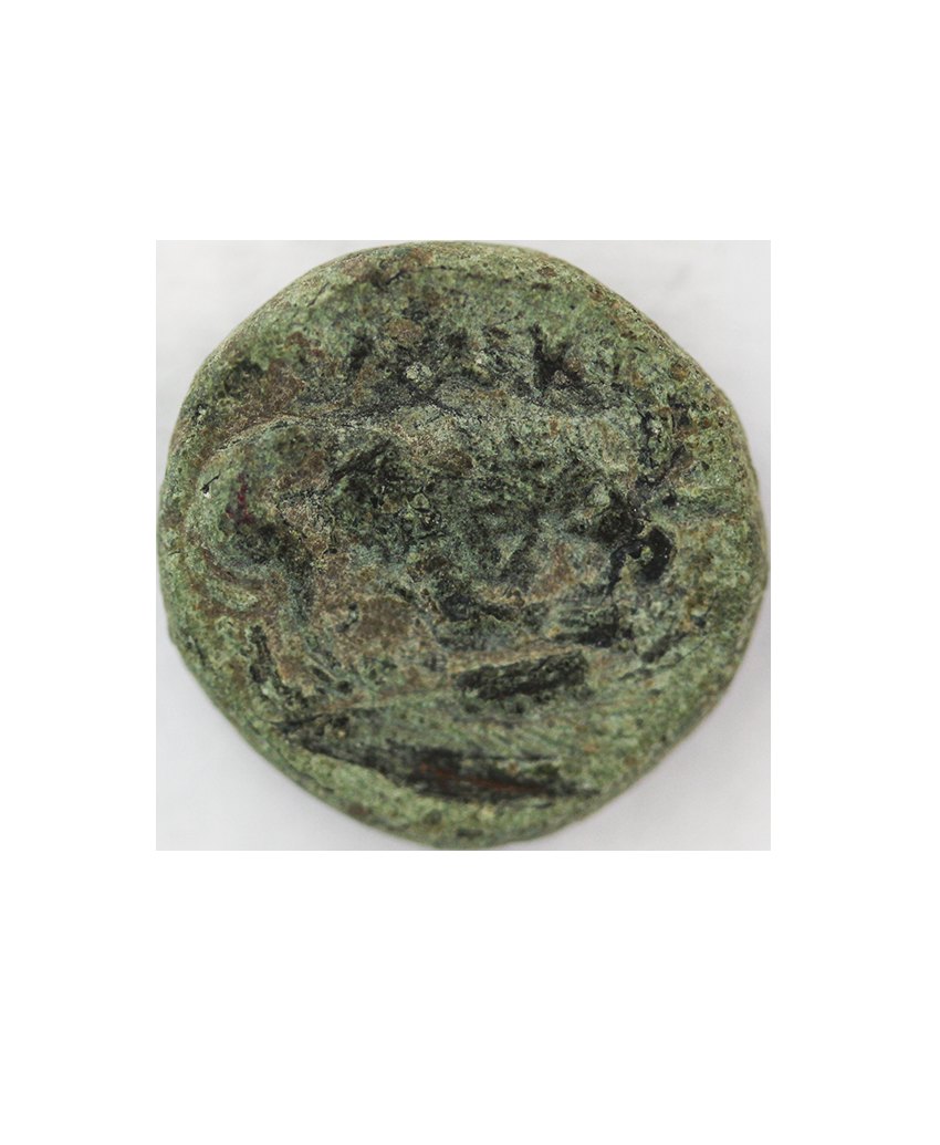  Mysia,Plakia, ca 400-300 BC,AE 11 mm ,1,67 g.   