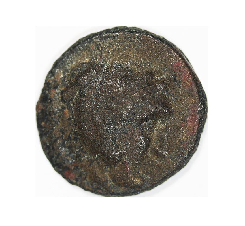  Seleukid, Seleukos II Kallinikos 246-226 BC,AE 16 mm 4,06 g   