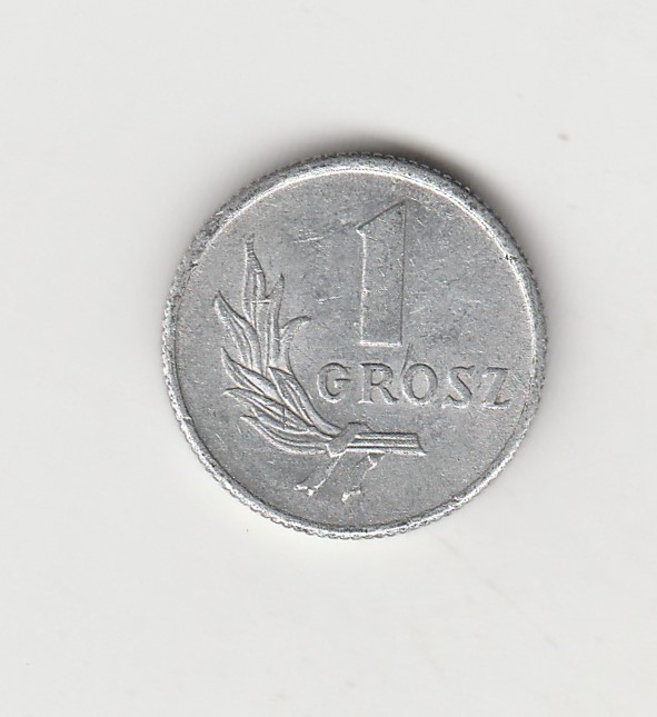  Polen 1 Crosz 1949 (N089)   