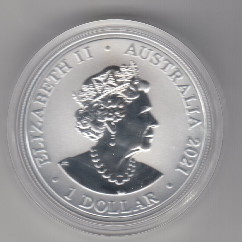  Australien, 1 Dollar 2021, Fraser's Dolphin, Delfin, 1 unze oz 999 Silber   
