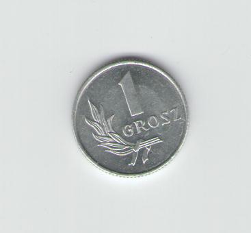  1 Grosz Polen 1949   