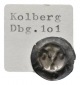 Pommern, Kolberg, Hohlpfennig, Dbg. 101