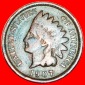 • INDISCHER KOPF (1864-1909): USA ★ 1 CENT 1907!