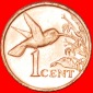 √ KOLIBRI: TRINIDAD UND TOBAGO ★ 1 CENT 1998 VZGL STEMPELG...