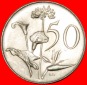 ★ BLUMEN: SÜDAFRIKA ★ 50 PENCE 1966! Interessanter Typ mi...