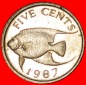 # FISCH (1986-1998): BERMUDA ★ 5 CENTS 1987! OHNE VORBEHALT!