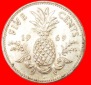 # GROSSBRITANNIEN: BAHAMAS ★ 5 CENTS 1969! OHNE VORBEHALT!