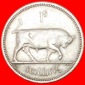 # STIER (1951-1968): IRLAND ★ 1 SHILLING 1963! OHNE VORBEHALT!