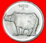 # NASHORN  (1988-2002): INDIEN ★ 25 PAISE 1998 NOIDA VZGL ST...