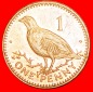 # VOGEL: GIBRALTAR ★ 1 PENNY 2001AA! OHNE VORBEHALT!