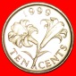 + BLUME (1999-2009): BERMUDA ★ 10 CENTS 1999 VZGL STEMPELGLA...